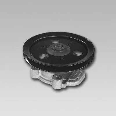Water Pump, engine cooling (981787)
