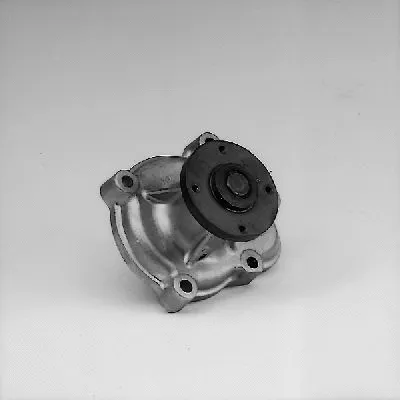Water Pump, engine cooling (980741)