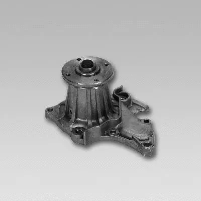 Water Pump, engine cooling (981722)