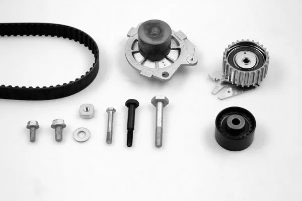 Water Pump & Timing Belt Kit (K985255F)