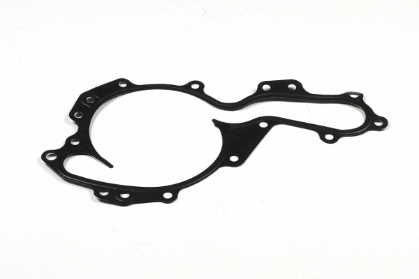 Water Pump, engine cooling (980769)