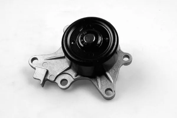 Water Pump, engine cooling (987670)