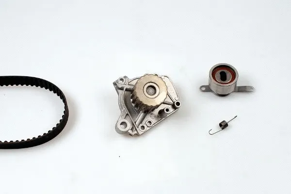 Water Pump & Timing Belt Kit (K981783B)