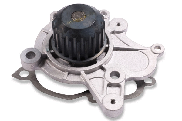 Water Pump, engine cooling (987760)