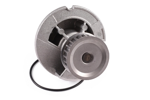 Water Pump, engine cooling (980750)
