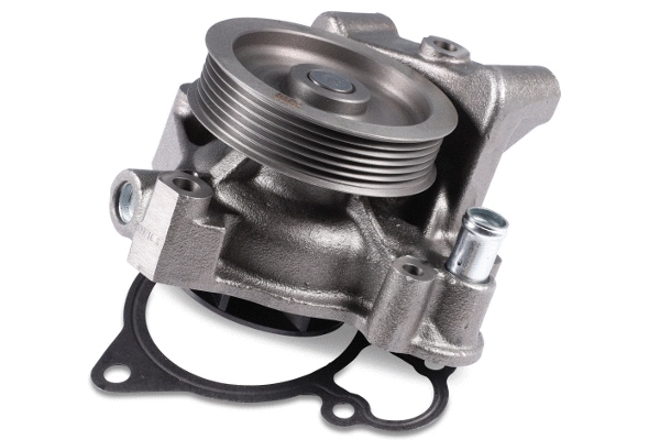 Water Pump, engine cooling (981203)