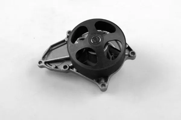 Water Pump, engine cooling (987846)
