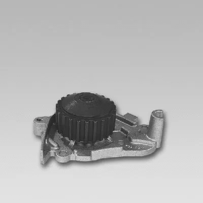 Water Pump, engine cooling (981748)
