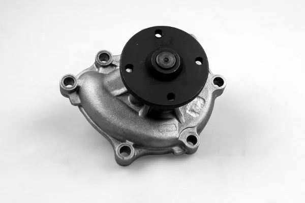 Water Pump, engine cooling (987996)