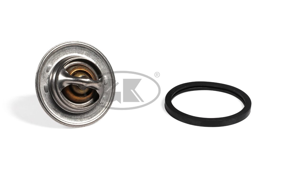 Thermostat, coolant