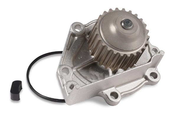 Water Pump, engine cooling (984045)