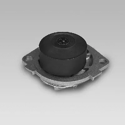 Water Pump, engine cooling (985241)
