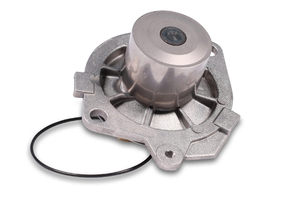 Water Pump, engine cooling (985255)