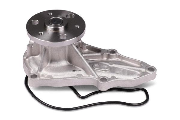 Water Pump, engine cooling (987818)