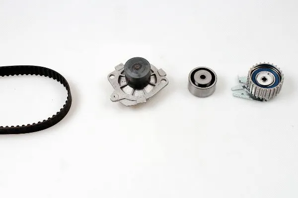 Water Pump & Timing Belt Kit (K985255D)