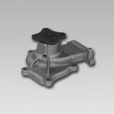 Water Pump, engine cooling (981746)