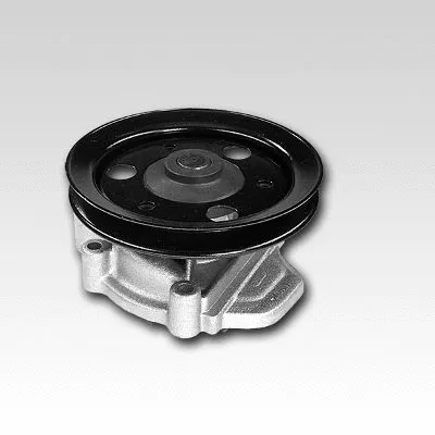 Water Pump, engine cooling (987805)