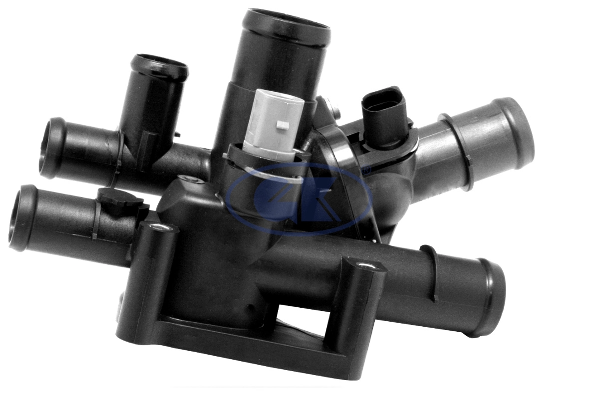 Thermostat, coolant (701196)