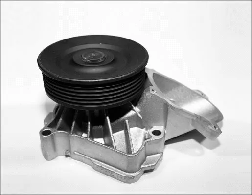 Water Pump, engine cooling (980537)