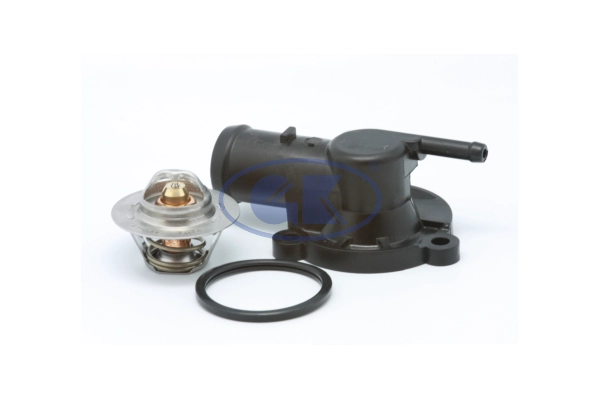 Thermostat, coolant (701131)