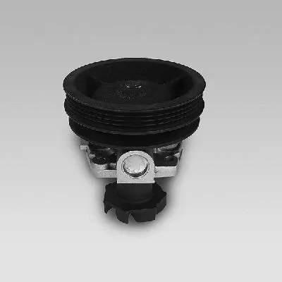 Water Pump, engine cooling (985247)