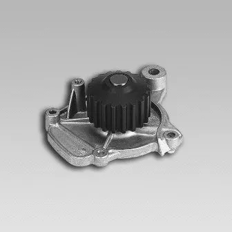 Water Pump, engine cooling (987822)