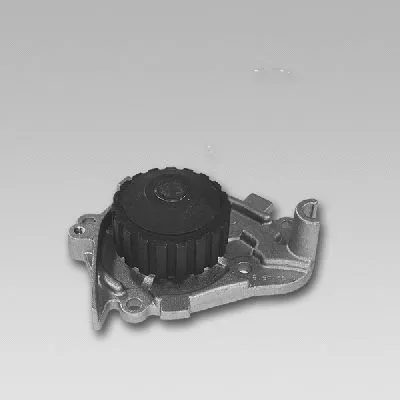 Water Pump, engine cooling (981739)