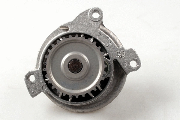Water Pump, engine cooling (980550)