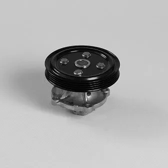 Water Pump, engine cooling (987519)