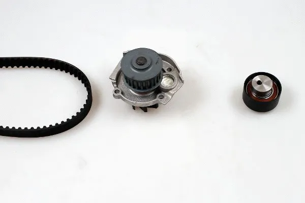 Water Pump & Timing Belt Kit (K981201A)