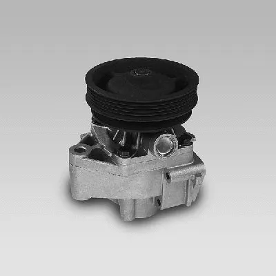 Water Pump, engine cooling (985123)