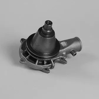 Water Pump, engine cooling (980803)