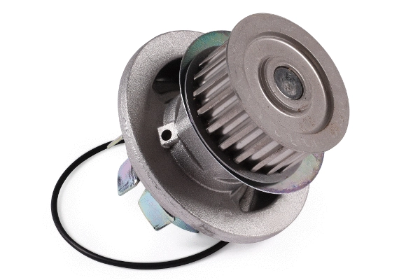 Water Pump, engine cooling (980736)