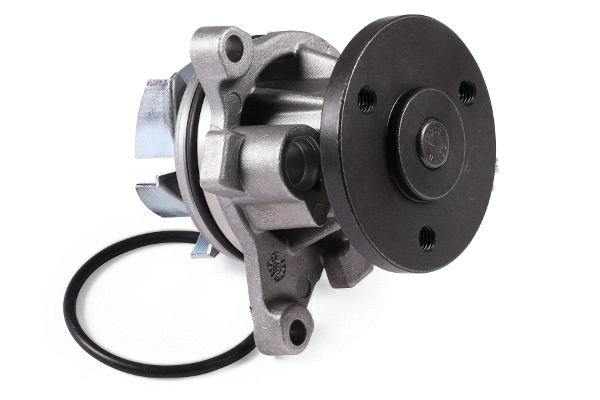 Water Pump, engine cooling (980773)