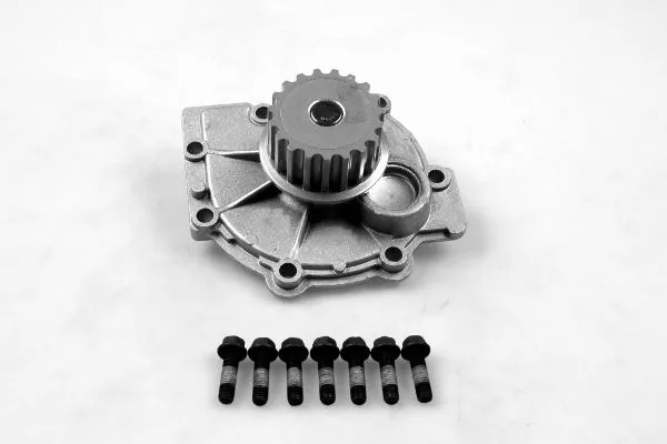 Water Pump, engine cooling (980117)