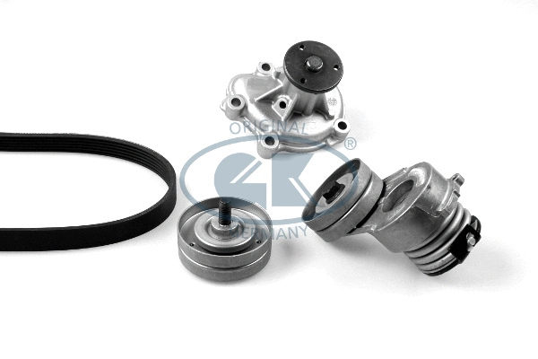 Water Pump + V-Ribbed Belt Kit (K980753D)