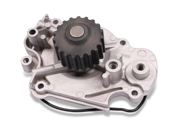 Water Pump, engine cooling (981040)