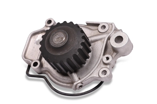 Water Pump, engine cooling (981041)