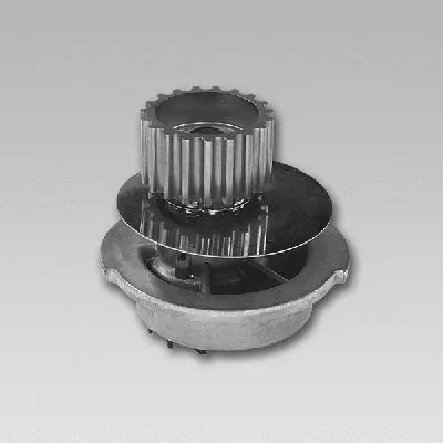 Water Pump, engine cooling (982793)