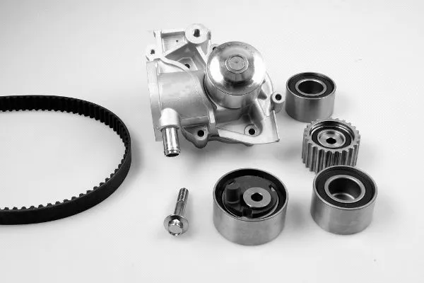Water Pump & Timing Belt Kit (K981020D)