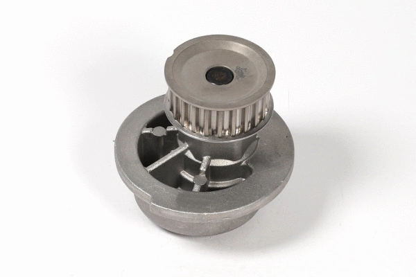 Water Pump, engine cooling (980738)