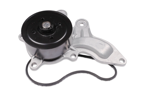 Water Pump, engine cooling (987858)