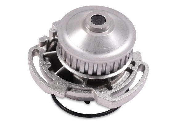 Water Pump, engine cooling (980142)