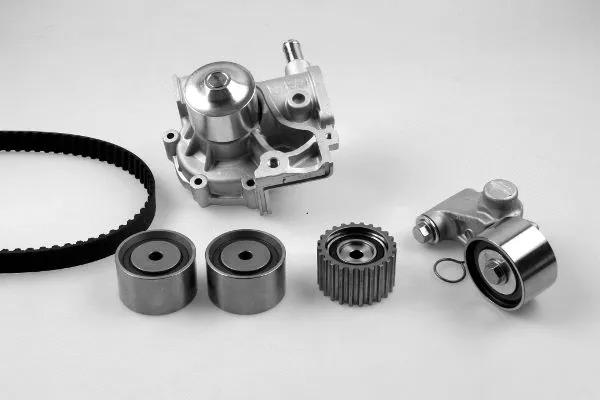 Water Pump & Timing Belt Kit (K981020F)