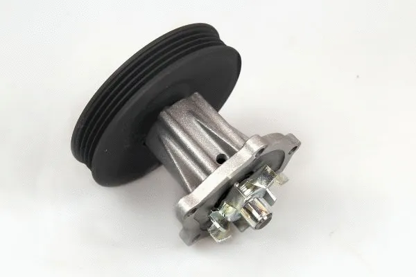 Water Pump, engine cooling (980783)