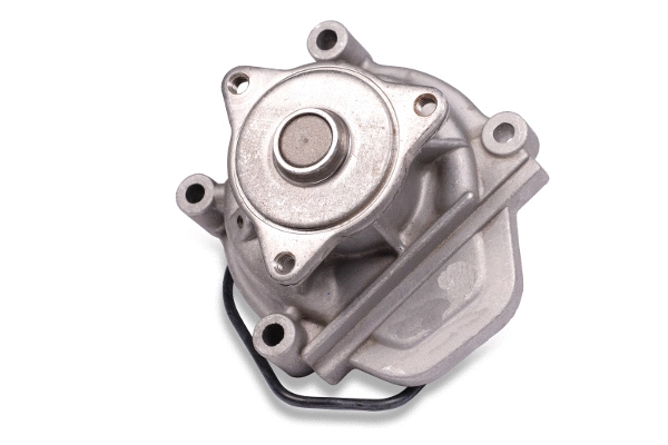 Water Pump, engine cooling (981043)