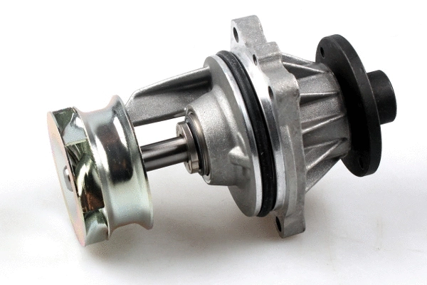 Water Pump, engine cooling (980834)