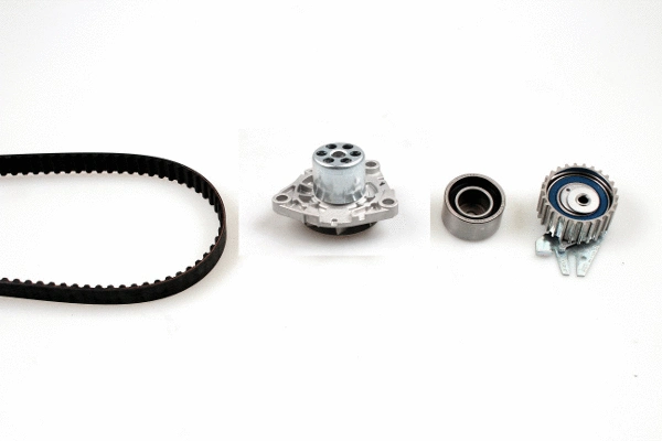 Water Pump & Timing Belt Kit (K981089F)