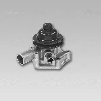 Water Pump, engine cooling (987505)