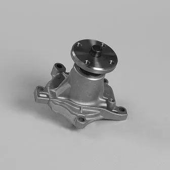 Water Pump, engine cooling (987216)